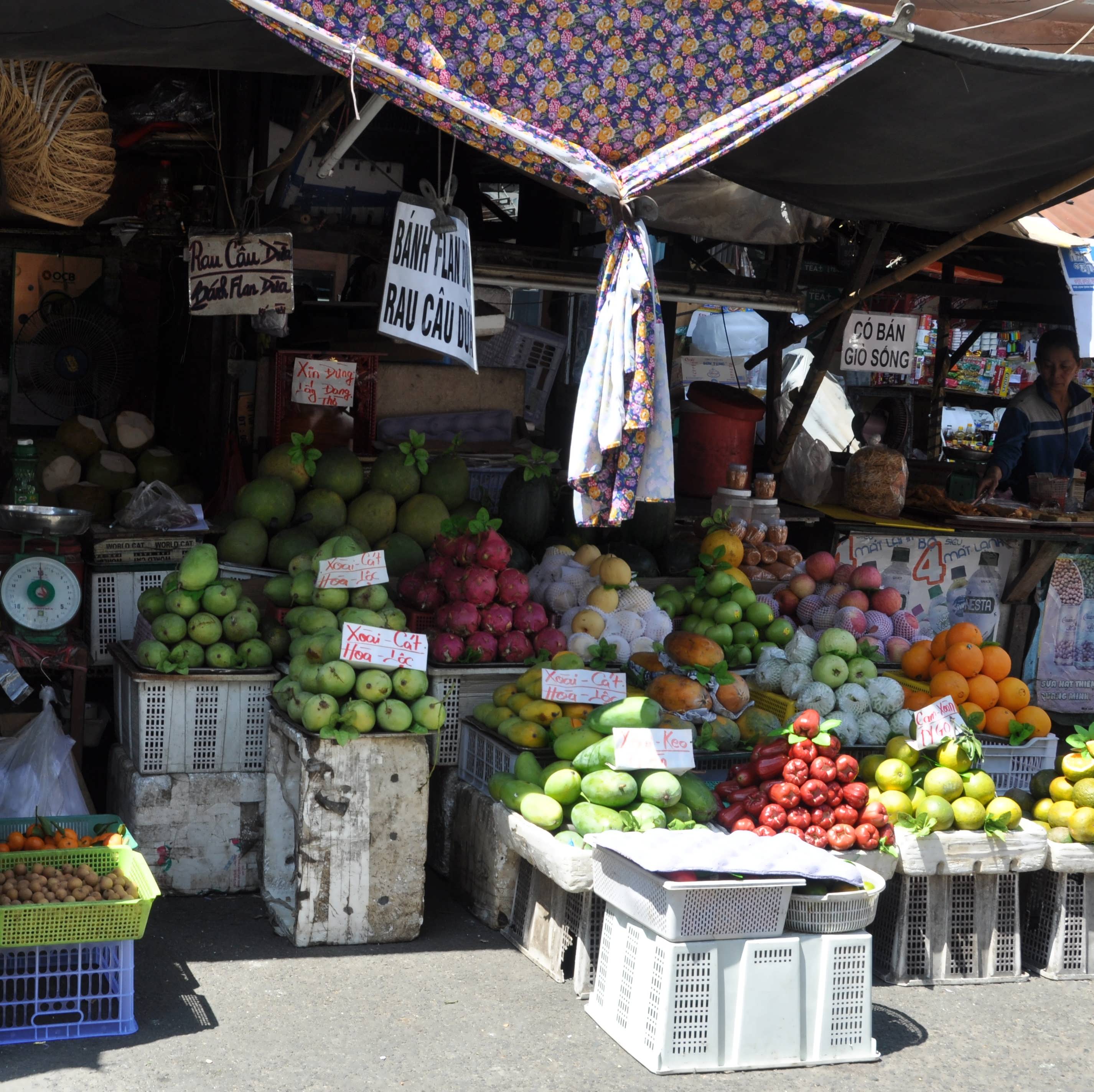 Frisches Gem&uuml;se